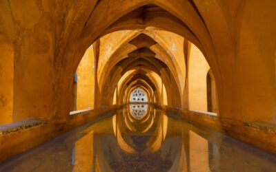 Eliminación de Ojeras en Sevilla: La Solución que tus Pacientes Demandan